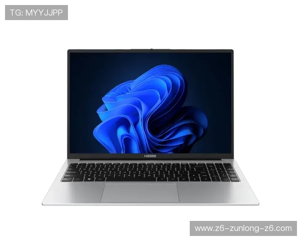 开云体育电脑：满足运动爱好者多样需求的高性能电脑解决方案