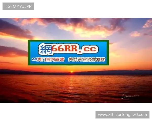 尊龙凯时九游娱乐手机登录：手机登录界面设计优化带来的用户体验提升