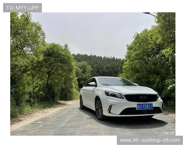 z6尊龙车主真实体验分享，豪华驾驶感受与日常使用的完美结合