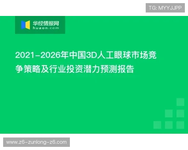 z6尊龙凯时安全保障措施，确保玩家账号信息与资金安全的全面保障方案