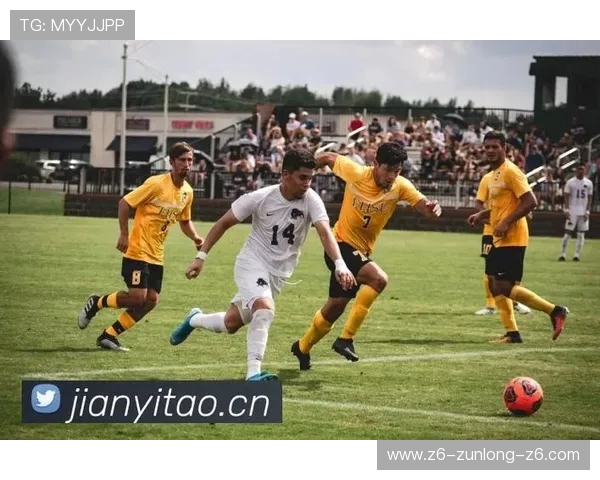 尊龙凯时共赢共欢乐：提升游戏互动性让每位玩家都能享受欢乐时光