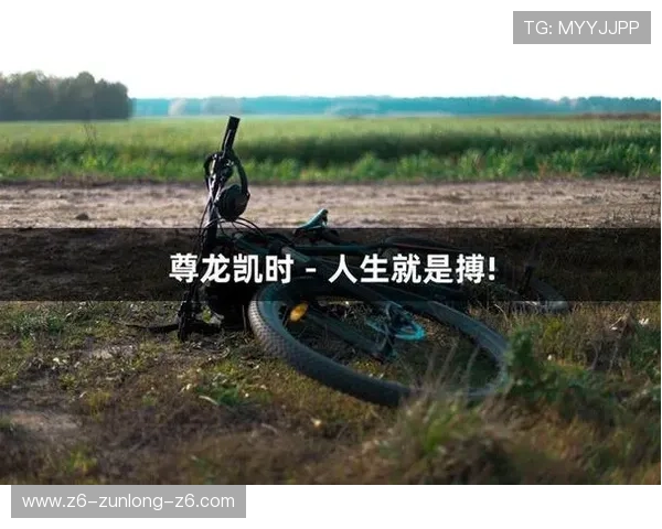 尊龙凯时滚球盘安全性与公平性保障措施详解确保玩家权益不受侵害