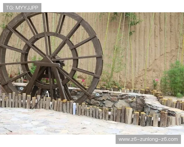 尊龙真人游戏操作简单易上手，适合新手玩家快速融入真实互动体验