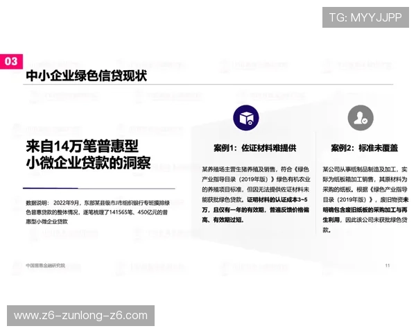 尊龙集团官网登录页面的最新公告与维护通知内容