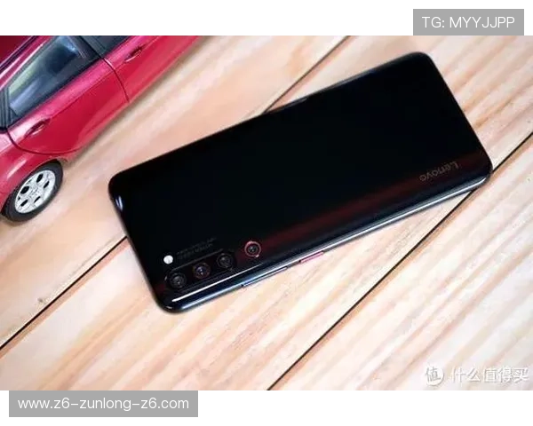 z6尊龙旗舰厅官网入口安全登录流程与账号保护措施详解