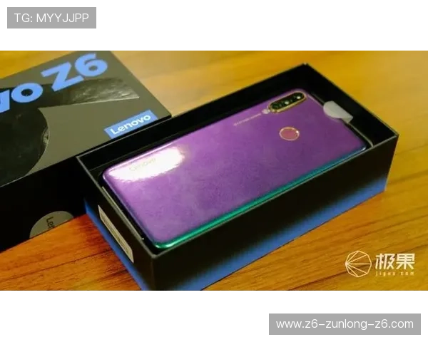 z6尊龙旗舰厅官网入口官方入口地址最新更新与访问安全提示