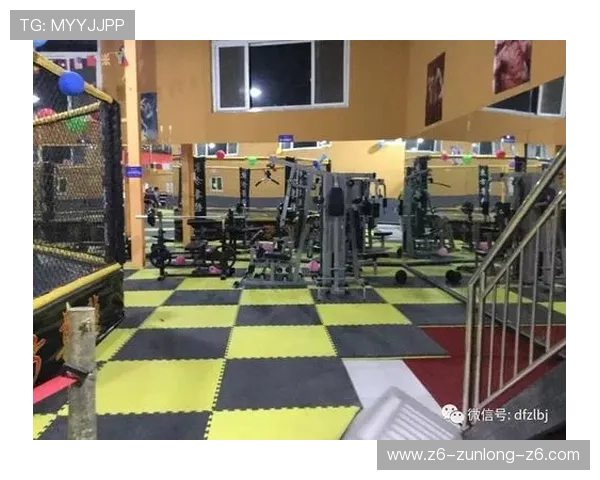 尊龙体育游戏用户评价与反馈，了解真实玩家的使用体验与建议改善方向