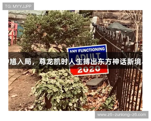ag尊龙凯时人生就是博深入解析游戏中的风险控制与资金管理技巧，确保玩家稳健盈利