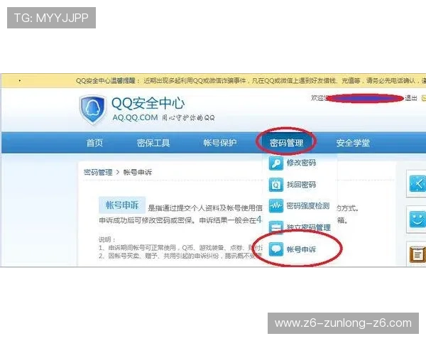 凯时KS在线充值方式多样化安全快捷满足不同玩家的需求